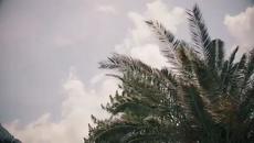 SERGEJ feat. WHO SEE PUSTI PROBLEME (OFFICIAL VIDEO) - Videoclip.bg