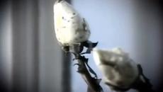 Ласковый май - Белые розы - Videoclip.bg