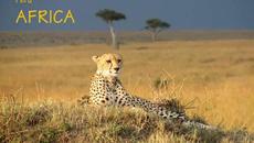 peru - africa - Videoclip.bg