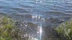 Kрасива ♚ есен - Videoclip.bg