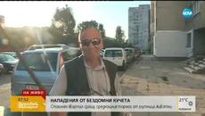 Глутница бездомни кучета тормози цял квартал - Здравей, България (27.08.2019г.) - Videoclip.bg