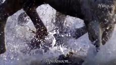 Eнигма ! Завръщане към Невинността ! Enigma - Return to Innocence (Превод) - Videoclip.bg