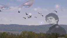 Ilona Barabash   -   Журавли улетели далеко, далеко. - Videoclip.bg