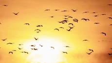 Есента дойде тази нощ с Есенно равноденствие 2019! - Videoclip.bg