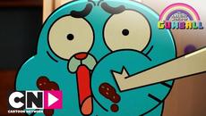 Гъмбол | Козите, които имат навик да припадат | Cartoon Network - Videoclip.bg