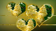 ОЧЕНЬ КРАСИВАЯ МЕЛОДИЯ СЕРГЕЯ ЧЕКАЛИНА ! - Videoclip.bg