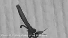 ❤ Kichaa M. ft. Stuty Maskey - Dum Maro Dum ❤ - Videoclip.bg