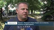 Зоолог: Породата Кане Корсо не е опасна, опасни са дресьорите - Videoclip.bg