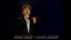 MITAR MIRIC - ZIVELA, ZIVELA LJUBAV - Videoclip.bg