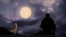 Ревю Плачеш ли? - Videoclip.bg