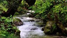 Kroda Cry to me, River! - Videoclip.bg