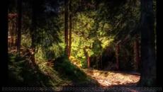 Добро утро! - Videoclip.bg