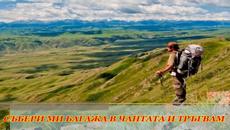 CREEDENCE CLEARWATER REVIVAL - LONG AS I CAN SEE THE LIGHT - С BG субтитри - Videoclip.bg