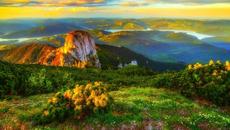 Планински цветя ... - Videoclip.bg