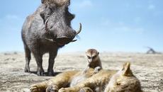 Пумба и Тимон се срещат със Симба - Цар Лъв (2019) - Videoclip.bg