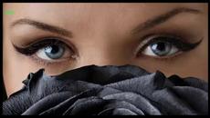 Tony Tucker - The Black Water Rose - Videoclip.bg