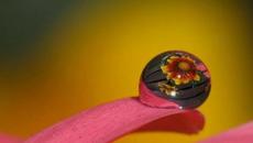 macro world - Videoclip.bg