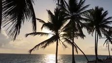 Chris Rea - Sweet Summer Day - Videoclip.bg