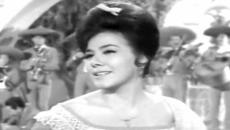 “Amor a media rienda“ – Rosa de Castilla - Videoclip.bg