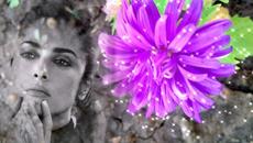 Александр Вестов  -  Туда, где ты? - Videoclip.bg