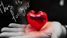 Jasmin Muharemovic - Kajem se - Videoclip.bg