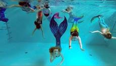 В Холандия откриха първото училище за русалки Claire la Sirène Academy - Videoclip.bg