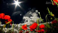 ТИ И АЗ - Бисер Киров - Videoclip.bg