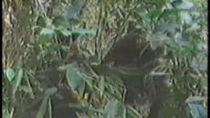 Firehawk / Огненият Ястреб 1993  ЧАСТ 2 - Videoclip.bg