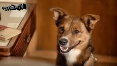 Никос Романос - не ме плашиха ураганите - Videoclip.bg