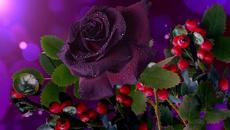 ✿✿✿  Микс от красота  ✿✿✿ - Videoclip.bg