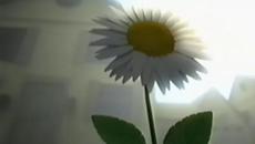 Billy and Mandy - Promo - Pushing up the Daisies - Videoclip.bg