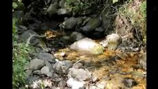 Елица Тодорова § Стоян Янкулов Вода - Videoclip.bg