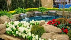 На Елизе ~ Лудвиг Ван Бетховен (класическа музика) - Videoclip.bg