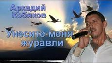 Аркадий Кобяков - Унесите меня журавли - Videoclip.bg