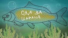 ЧЕСТИТ НИКУЛДЕН! ЧЕСТИТ ПРАЗНИК, БУРГАС! Резултати от търсенето Никулден е - традиции и обичаи (ВИДЕО) - Videoclip.bg