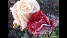 Эдгар Туниянц   -    «Очарование» - Videoclip.bg