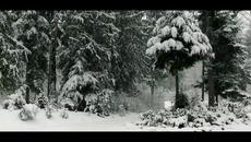 Андрей Фелер - Февраль - Videoclip.bg