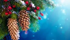 Сурова сурова година 2020 с Детска песничка  - Шаро и първият сняг - Videoclip.bg