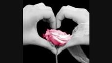 Zoran Zoka Jankovic - OTAC MOJ - Videoclip.bg