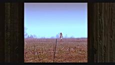 Малина - Не плачи, замълчи / MALINA - NE PLACHI, ZAMALCHI [2002] - Videoclip.bg