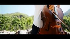 Snakecharmer Тя е пиратка - кавър по темата Карибски пирати Pirates of the caribbien theme song - Videoclip.bg