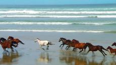 ГОДЫ,КАК ВАС ЗАДЕРЖАТЬ... - Videoclip.bg