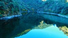 Лисицата и Скорпиона - Videoclip.bg