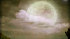 Превод! Обещай ми! Beverly Craven Promise Me - Videoclip.bg