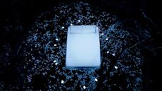 Bon Iver - Calgary (official Video) - Videoclip.bg