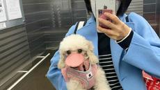 Къде ти е маската! Коронавирус дойде с музика в социалните мрежи! Coronavirus is coming - Videoclip.bg