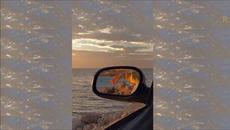 Ruelle - Genesis - Videoclip.bg