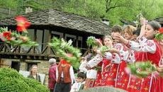 Утре е Лазаровден 11.4.2020! Върбови клонки за Цветница ще се раздават в дворовете на църквите в Добрич - Videoclip.bg