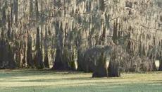 Straw Dogs / Сламени кучета (2011) part.1 BG Audio - Videoclip.bg