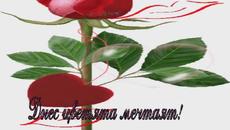 Весела Цветница! Днес е Цветница Връбница 2020 – празник на надеждата, любовта и цветята - Videoclip.bg